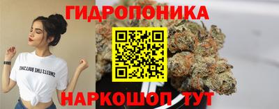 ГАЛЛЮЦИНОГЕННЫЕ ГРИБЫ Берёзовский