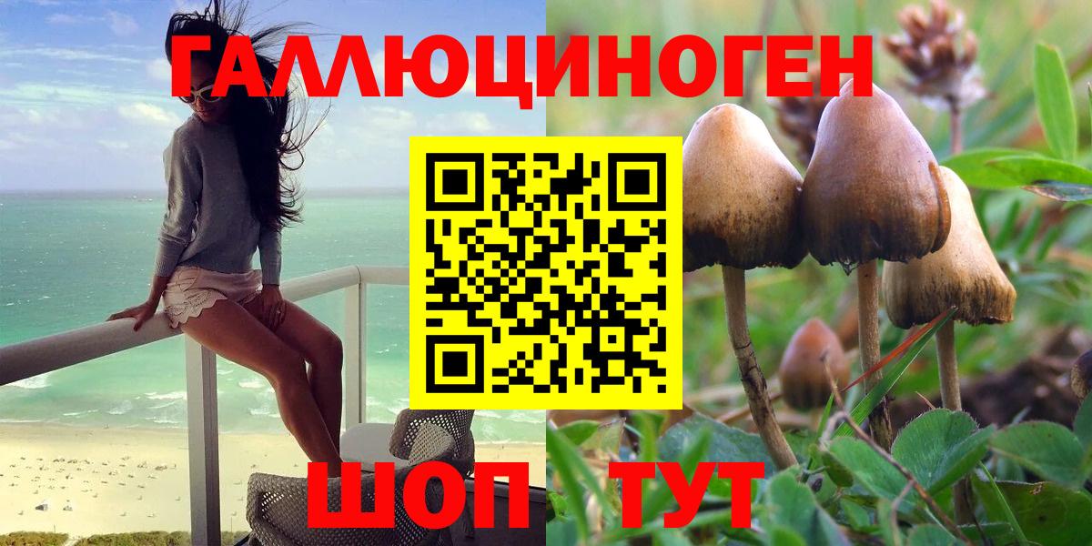 Галлюциногенные грибы Psilocybine cubensis  Вход с VPN  Галлюциногенные грибы Psilocybine cubensis  как найти закладки  Калининград 