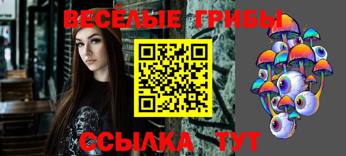 Псилоцибиновые грибы GOLDEN TEACHER Калининград